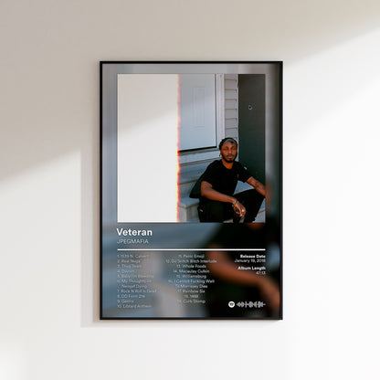 JPEGMAFIA 'Veteran' Album Poster