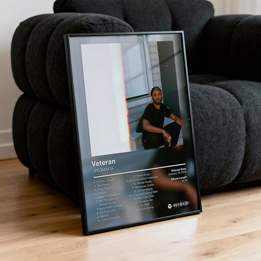 JPEGMAFIA 'Veteran' Album Poster
