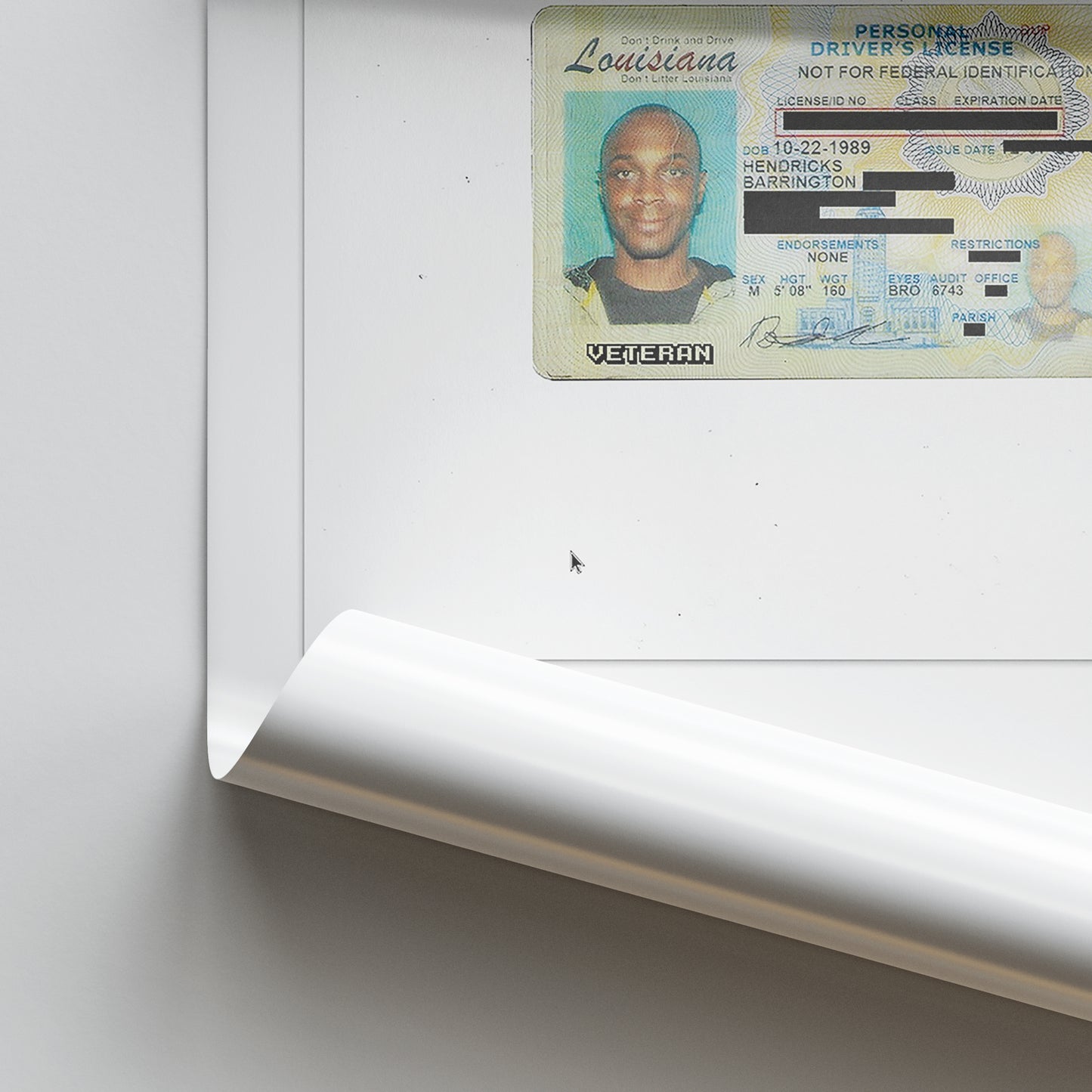 JPEGMAFIA 'Veteran' (Director's Cut) Album Poster