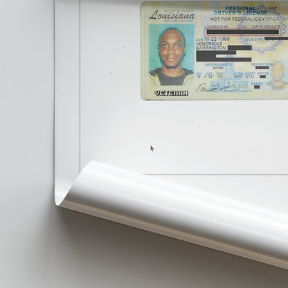 JPEGMAFIA 'Veteran' (Director's Cut) Album Poster